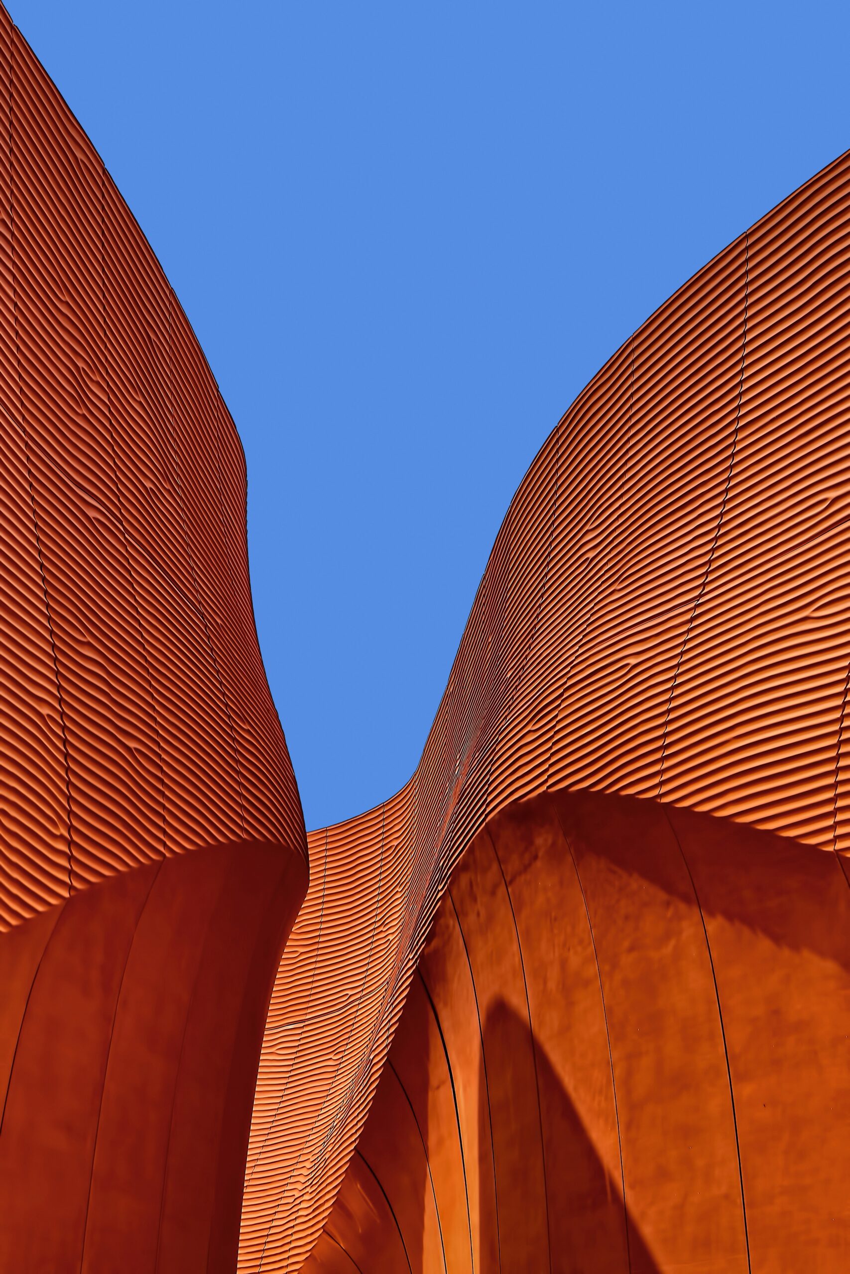 ricardo-gomez-angel-PzYiCWOHtfU-unsplash-1